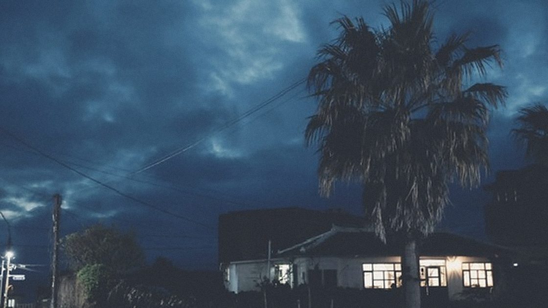 A house under palm trees at blue hour, lights on inside